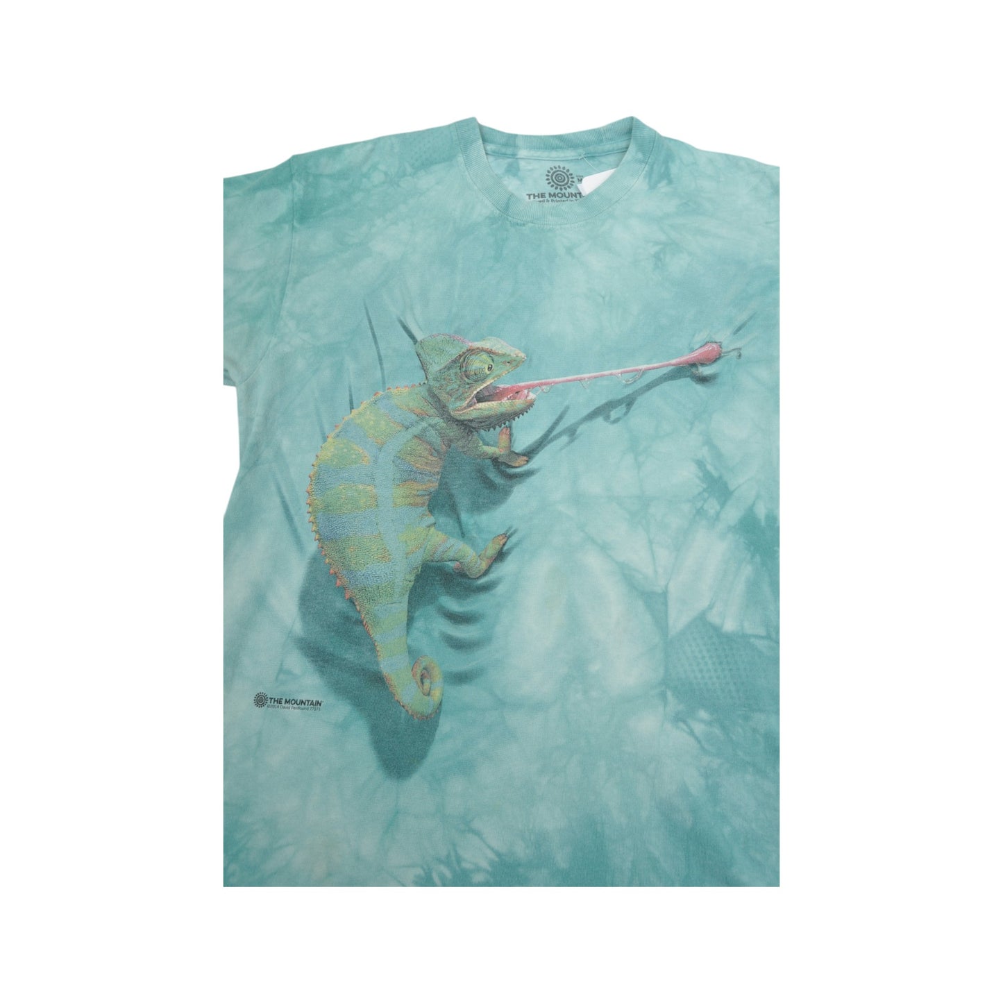 Vintage The Mountain Chameleon T-Shirt Tie-Dye Blue Small