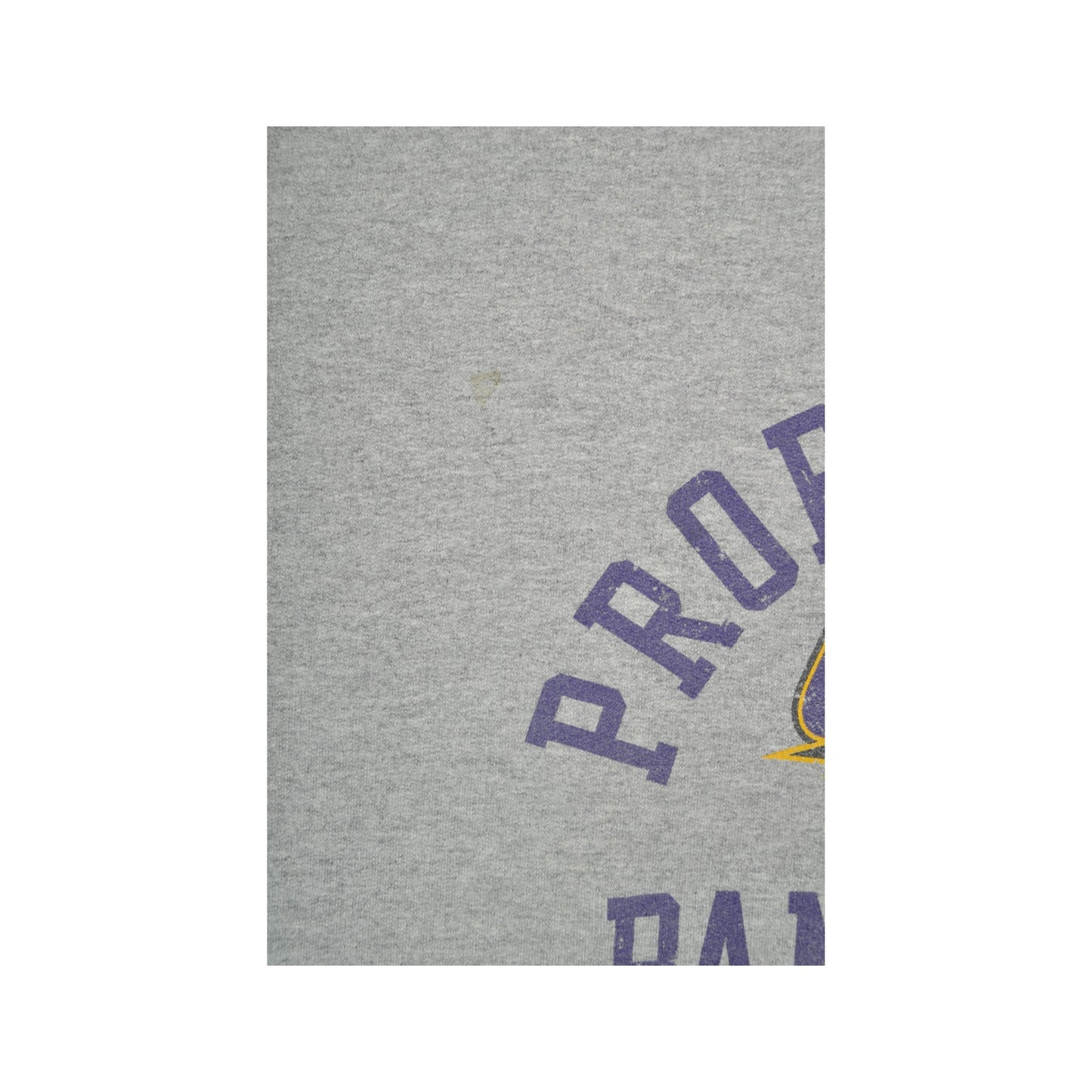 Vintage Northern Iowa Panthers Sweatshirt Grey Large