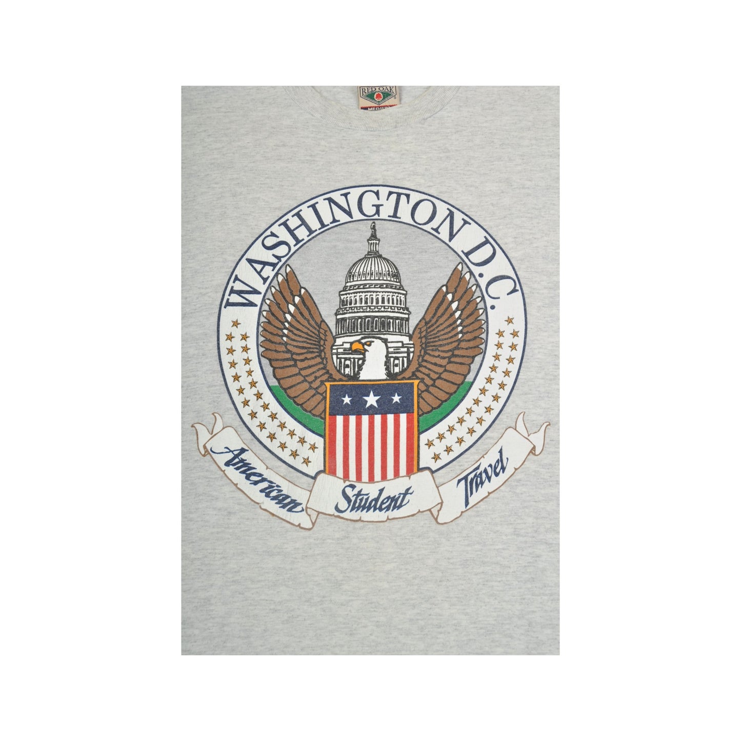 Vintage Washington DC T-Shirt Grau Klein